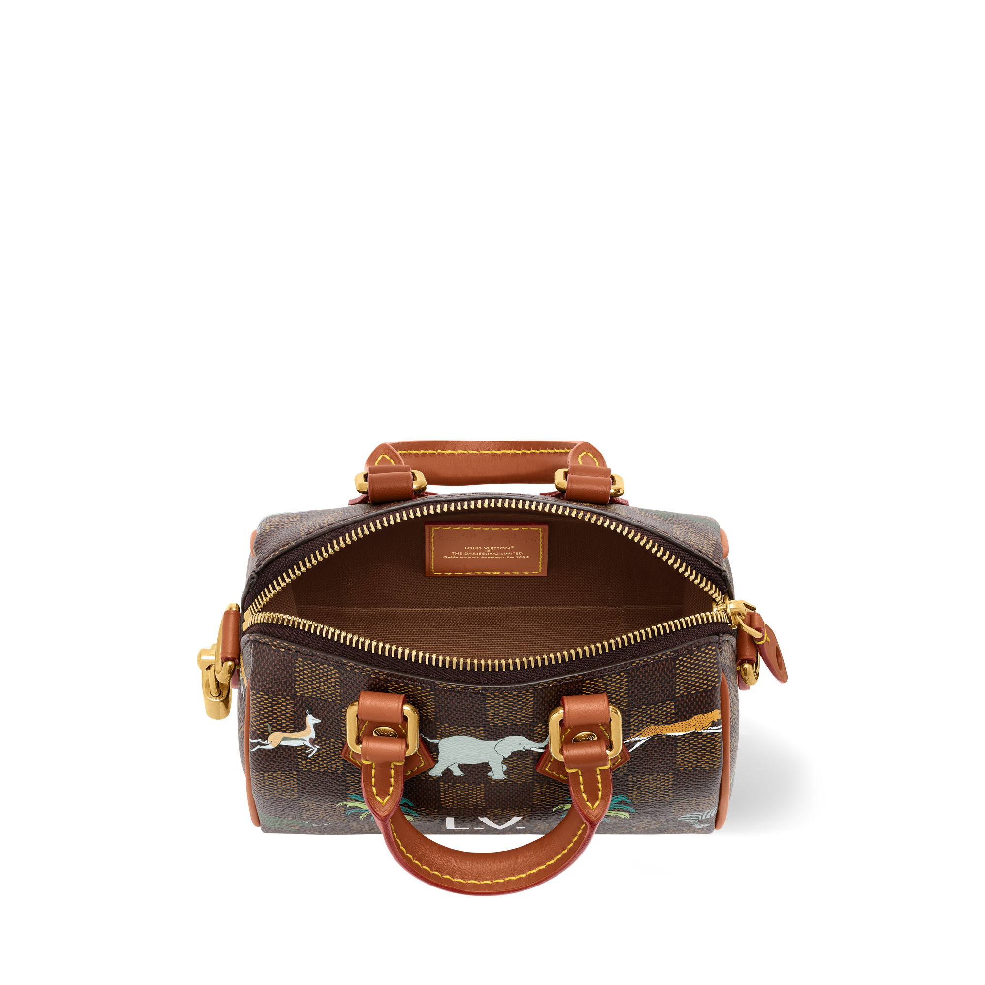Speedy Bandoulière 18 x The Darjeeling Limited Damier Other - Bags